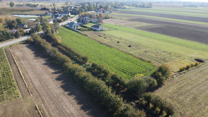 Działka Sprzedaż Krasnystaw Kościuszki 10