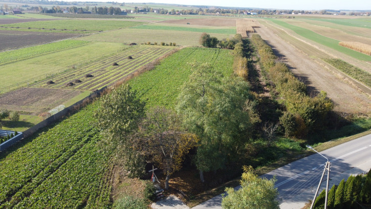 Działka Sprzedaż Krasnystaw Kościuszki 16