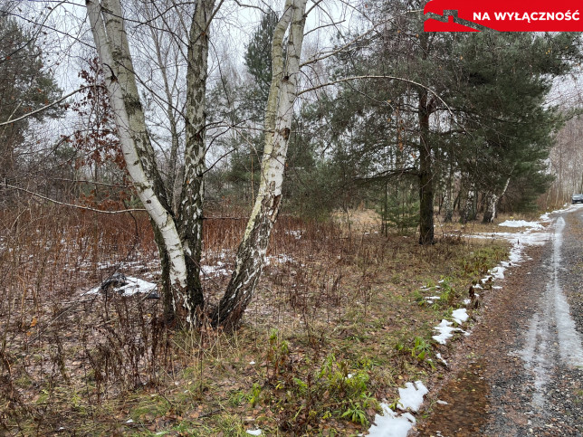 Działka Sprzedaż Leokadiów Zacisze 4