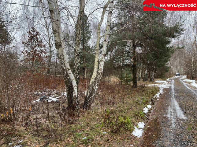 Działka Sprzedaż Leokadiów Zacisze 6