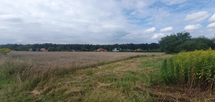 Działka Sprzedaż Świdnik Wiosenna 2