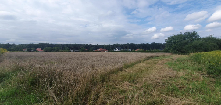 Działka Sprzedaż Świdnik Wiosenna 3