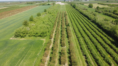 Działka Sprzedaż Kamień-Kolonia