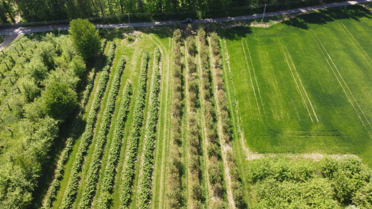 Działka Sprzedaż Kamień-Kolonia 10