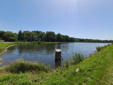 Dom Sprzedaż Częstoborowice