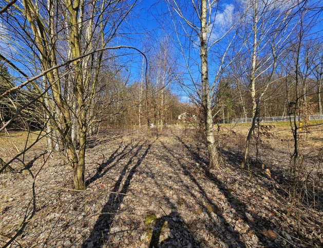 Działka Sprzedaż Zemborzyce Tereszyńskie 6